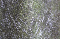 Penmynydd fibreglass roof work